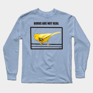 Birds Are Not Real Long Sleeve T-Shirt